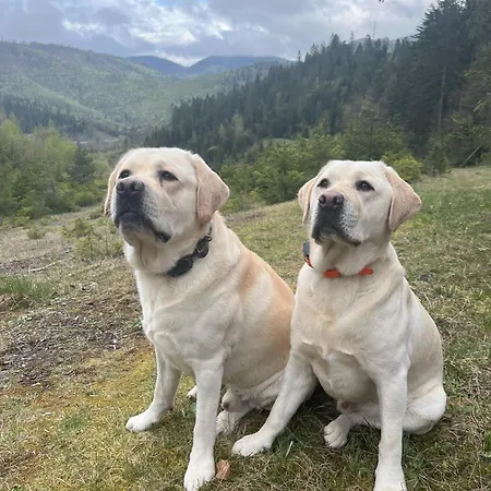 Pod Guglom 2*
