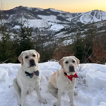 Pensionat Pod Guglom 2*