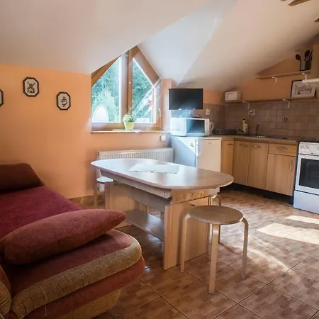 Pod Guglom Pensionat 2*